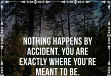 Nothing happens by accident. You are exactly where you're meant to be.