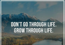 Don't go through life. Grow through life.