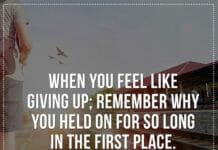 When you feel like giving up; remember why you held on for so long in the first place.