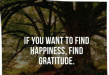 If you want to find happiness, find gratitude.