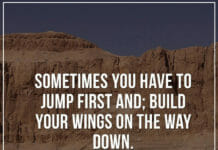 Sometimes you have to jump first and; build your wings on the way down.