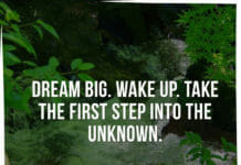 Dream big. Wake up. Take the first step into the unknown.